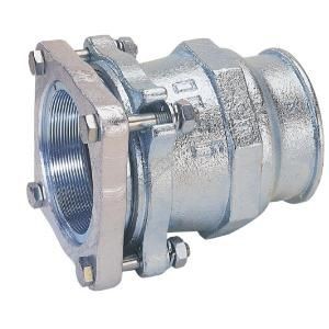 RAC FONTE RECHTE KOPPELING 3"F X 3 
