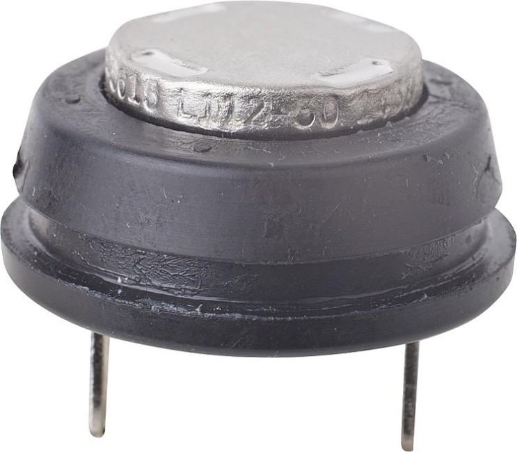 BUDERUS O TEMPERATUUR BEGRENZER ASSY