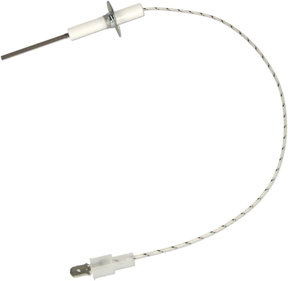 BUDERUS O IONISATIE ELEKTRODE