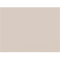 ARTISSAN SMART ACRYLIC 1520 X 2650 LICHT GRIJS MAT 6 MM