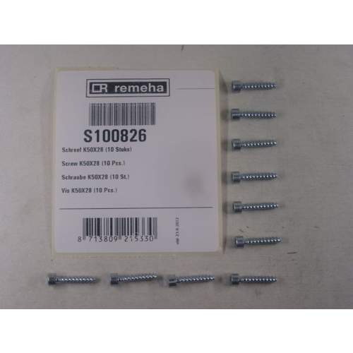 REMEHA O SCHROEF K50X28 10 STUKS