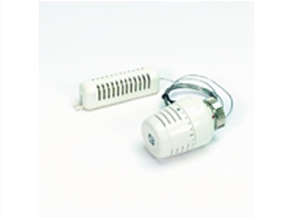 BEG THERMOSTAATKOP MET AFSTANDSVOELER 5M