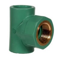 [13490 1/2 20] G 8490G 20 1/2 - CULAS T PPR 20 1/2F 20 GROEN