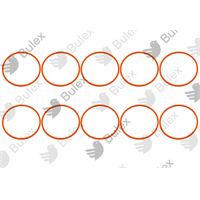 [0020181358] 0020181358 - BULEX O DICHTING DIA 60 HR + OPALIA 10 STUKS