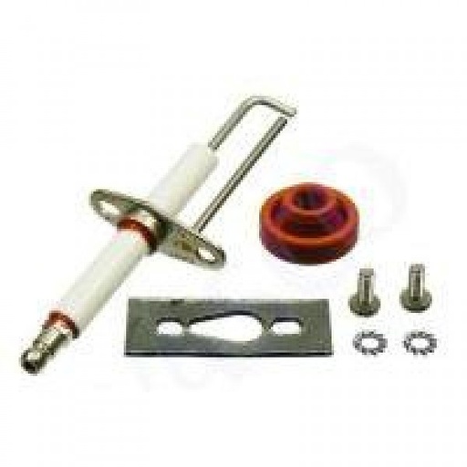 [S54339] S54339 - REMEHA IONISATIEPEN/STAAF VOOR QUINTA 28C