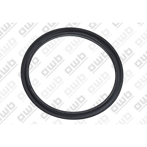  0020195520 - BULEX O DICHTING  ROOKGASAFVOERKANAAL THERMOMASTER F29