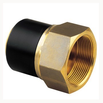 [131096] 20042892 -  GAS ELEKTROLAS PUNTSTUK 63MM - 2"F