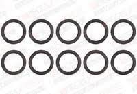 [0020079448] 0020079448 - BULEX O DICHTING THEMACODENS 65