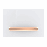 [115.670.11.2] 115.670.11.2 - GEBERIT DUWPLAAT SIGMA PLAAT WIT TOETSEN ROOD GOUD