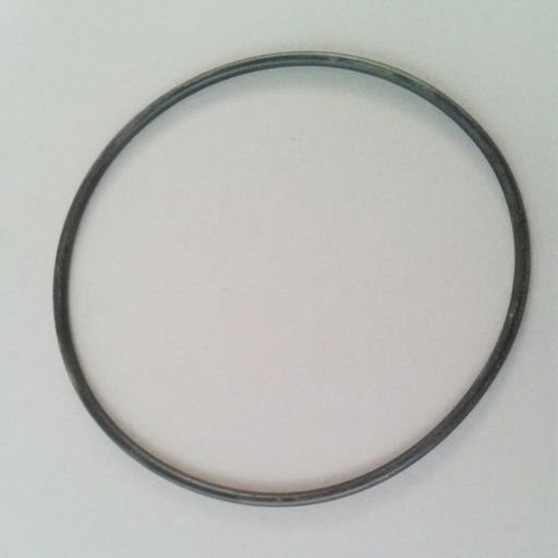 [3007162] 3007162 - RIELLO O DICHTING POMP 